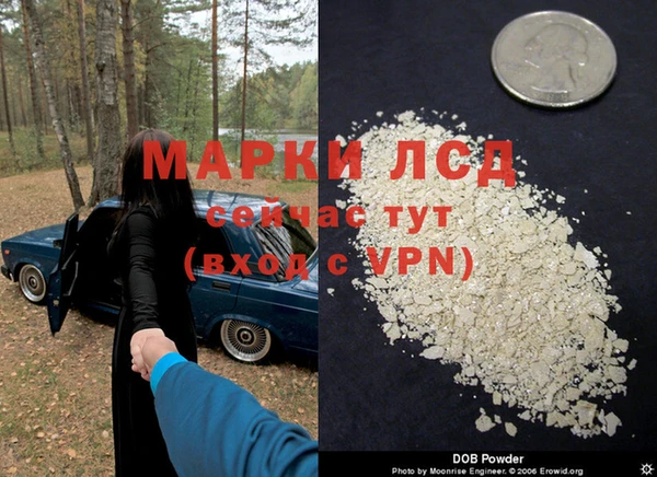 ALPHA PVP Карталы