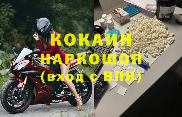 СК Касимов
