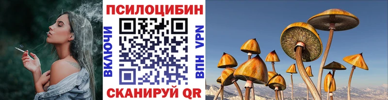 Купить  Инта  Галлюциногенные грибы Psilocybe 